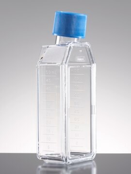 Corning&#174; Falcon&#174; Cell Culture Flask capacity 50&#160;mL, canted neck, graduated, 5 &#8209; 40&#160;mL, cap, blue plug seal