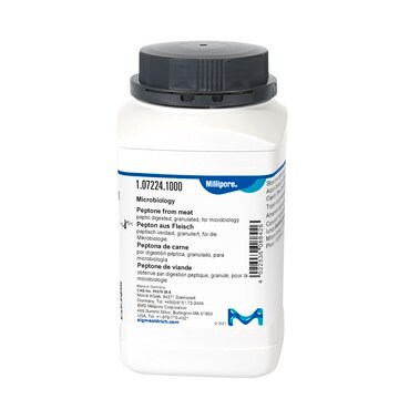 Peptone from meat peptic digested, granulated, suitable for microbiology