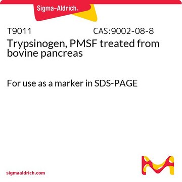 トリプシノーゲン、PMSF処理 ウシ膵臓由来 For use as a marker in SDS-PAGE