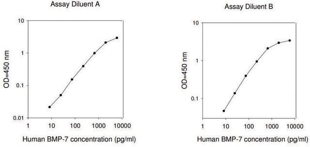 Human BMP-7 ELISA Kit for serum, plasma, cell culture supernatant and urine