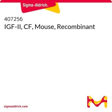 IGF-II, CF, Mouse, Recombinant