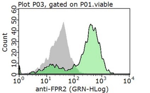 Anti-FPR2 Antibody from rabbit, purified by affinity chromatography