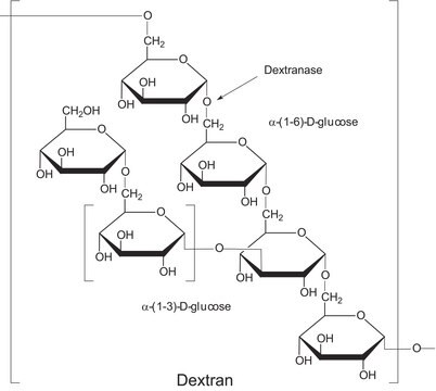 Dextranase from Penicillium sp. lyophilized powder, 400-800&#160;units/mg protein