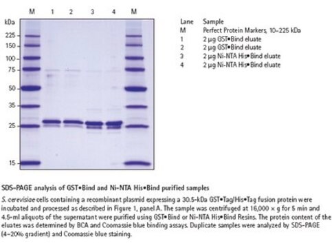 YeastBuster Proteinextraktionsreagenz Efficient extraction of protein from yeast without mechanical disruption and enzymatic lysis