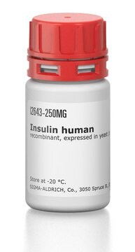 Insuline human recombinant, expressed in yeast (proprietary host)