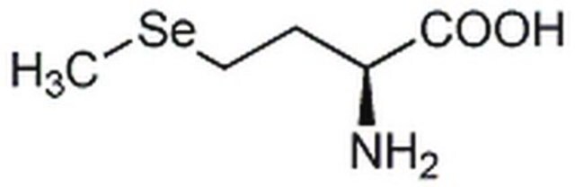 L-Selenomethionine L Selenomethionine increases the expression of glutathione peroxidase.