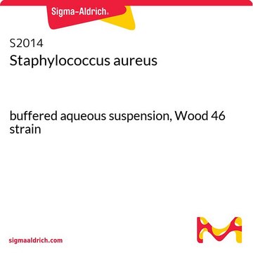 Staphylococcus aureus buffered aqueous suspension, Wood 46 strain