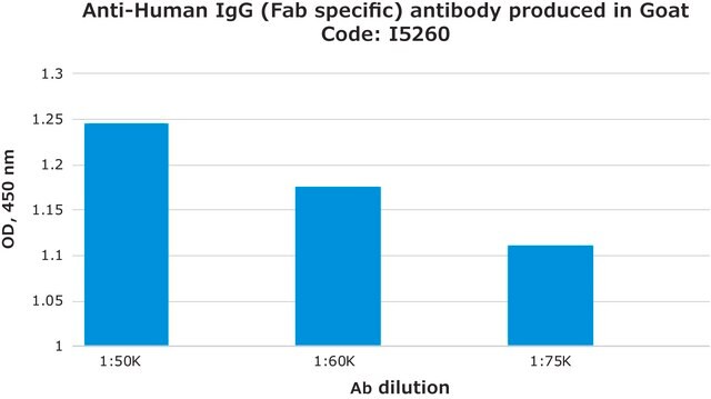 Anti-Human IgG-Antikörper (Fab-spezifisch) in Ziege hergestellte Antikörper affinity isolated antibody, buffered aqueous solution