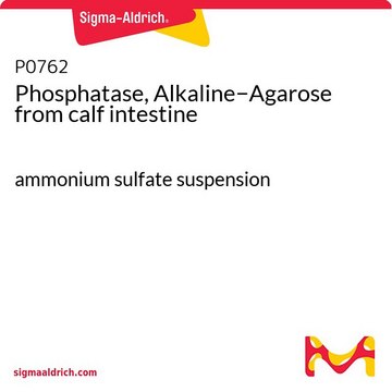 Phosphatase, Alkaline&#8722;Agarose from calf intestine ammonium sulfate suspension