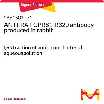 ANTI-RAT GPR81-R320 antibody produced in rabbit IgG fraction of antiserum, buffered aqueous solution