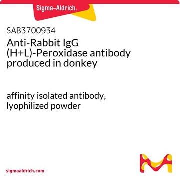 Anti-Rabbit IgG (H+L)-Peroxidase antibody produced in donkey affinity isolated antibody, lyophilized powder