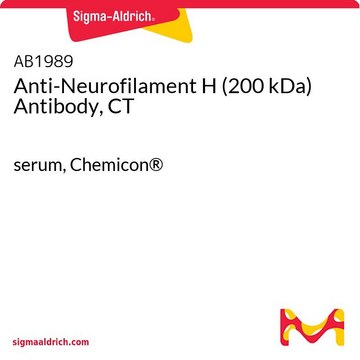 Anticorps anti-neurofilament H (200&nbsp;kDa), CT serum, Chemicon&#174;