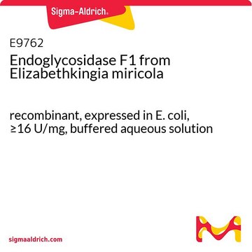 Endoglycosidase F1 recombinant, expressed in E. coli, &#8805;16&#160;U/mg, buffered aqueous solution