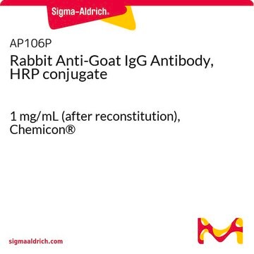 Anticorpo di coniglio anti-IgG di capra, coniugato con HRP 1&#160;mg/mL (after reconstitution), Chemicon&#174;