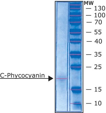 C-Phycocyanin from Spirulina sp. lyophilized powder