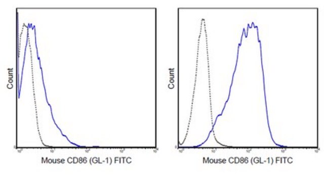 抗-CD86（B7-2）抗体（小鼠），FITC，克隆GL-1 clone GL-1 (GL1), 0.5&#160;mg/mL, from rat