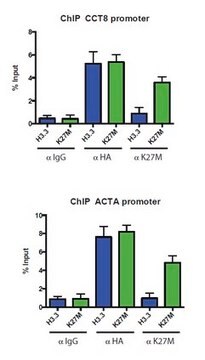 Anti-Histone H3.3 Antibody, K27M mutant from rabbit, purified by affinity chromatography