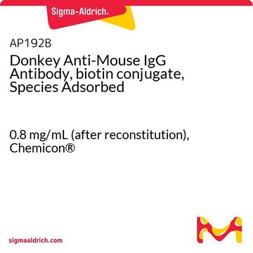 Donkey Anti-Mouse IgG Antibody, biotin conjugate, Species Adsorbed 0.8&#160;mg/mL (after reconstitution), Chemicon&#174;