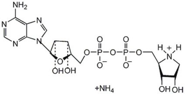 ADP-HPD，二水合物，铵盐 ADP-HPD, Dihydrate is an amino analog of ADP-ribose that acts as a highly potent, noncompetitive, and specific inhibitor of poly(ADP-ribose) glycohydrolase (PARG; IC&#8325;&#8320; = 120 nM).