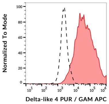 Monoclonal Anti-DLL4 purified low endotoxin produced in mouse