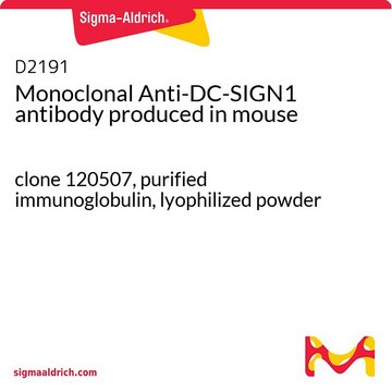 Monoclonal Anti-DC-SIGN1 antibody produced in mouse clone 120507, purified immunoglobulin, lyophilized powder