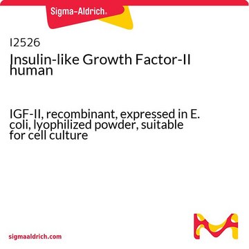 インスリン様増殖因子-II ヒト IGF-II, recombinant, expressed in E. coli, lyophilized powder, suitable for cell culture