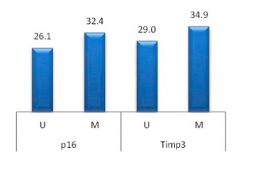 Standard niemetylowanego genomowego DNA szczura CpGenome Useful as a control or standard for variety of epigenomic assays such as methylated or unmethylated DNA enrichment, bisulfite conversion or melt curve analysis to determine the status of global or locus- specific DNA methylation.