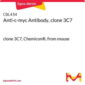 Anti-c-myc-Antikörper, Klon 3C7 clone 3C7, Chemicon&#174;, from mouse