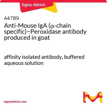 抗 小鼠 IgA（&#945;-链特异性）-过氧物酶 山羊抗 affinity isolated antibody, buffered aqueous solution