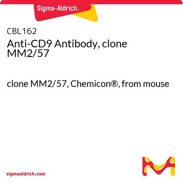 Anticorps anti-CD9, clone&nbsp;MM2/57 clone MM2/57, Chemicon&#174;, from mouse