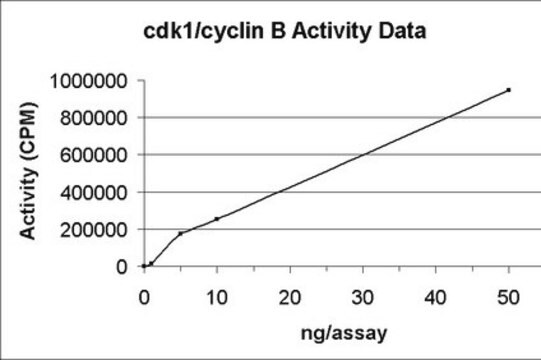 Cdk1/cyclin B蛋白，活性，10 &#181;g Active, C-terminal His6-tagged human full length Cdk1 &amp; N-terminal GST-tagged human full length Cyclin B, for use in Kinase Assays.