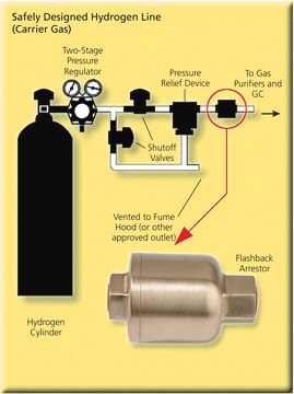 Hydrogen Flash Arrestor