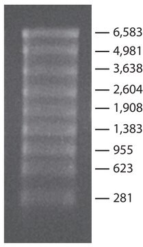 转录 RNA 分子量标记 0.28-6.6 kb for RNA electrophoresis