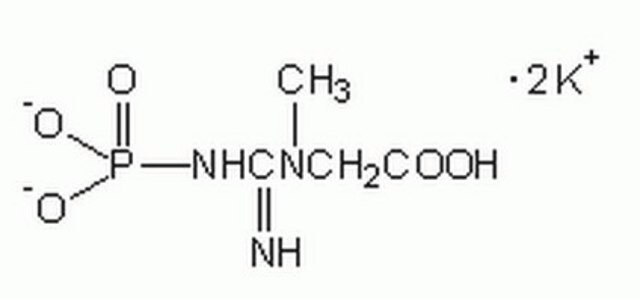 Creatin-Phosphat, Dikaliumsalz A high-energy phosphate compound. Transfer of phosphate group from creatine phosphate to ADP and from ATP to creatine form the basis of the creatine-creatine phosphate energy shuttle.