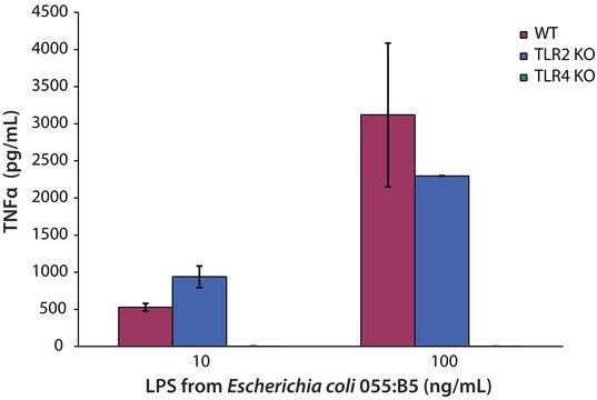 リポポリサッカリド 大腸菌055:B5由来 purified by ion-exchange chromatography, TLR ligand tested