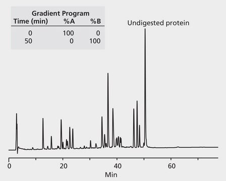 Cytochrom C (Huhn), carboxymethyliert, Tryptischer Verdau application for HPLC