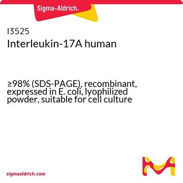 インターロイキン-17A ヒト &#8805;98% (SDS-PAGE), recombinant, expressed in E. coli, lyophilized powder, suitable for cell culture