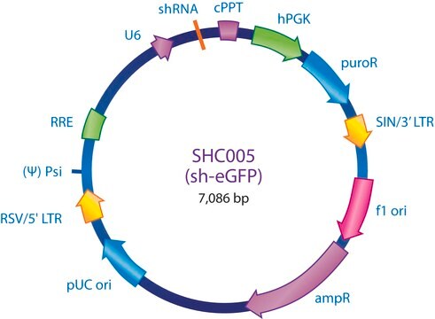 MISSION&#174; pLKO.1-puro eGFP shRNA Control Transduction Particles shRNA sequence targeting eGFP