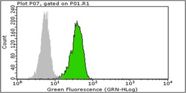 Anti-sTRAIL Antibody, clone III6F clone III6F, from mouse