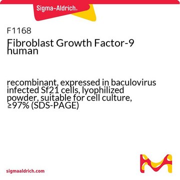 Fibroblast Growth Factor-9 human recombinant, expressed in baculovirus infected Sf21 cells, lyophilized powder, suitable for cell culture, &#8805;97% (SDS-PAGE)