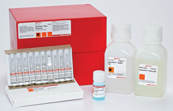 Kit de test QuantiPro&#8482; BCA for 0.5-30 &#956;g/ml protein