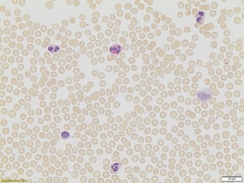 Leukocyte Alkaline Phosphatase Kit based on naphthol AS-BI and fast red violet LB