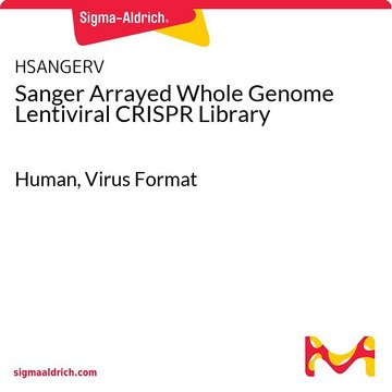 桑格全基因组 慢病毒 CRISPR 文库 Human, Virus Format