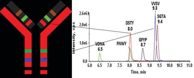 SILu&#8482;MAB Stable-Isotope Labeled Universal Monoclonal Antibody Standard（SILu MAB安定同位体標識ユニバーサルモノクローナル抗体スタンダード） ヒト recombinant, expressed in CHO cells