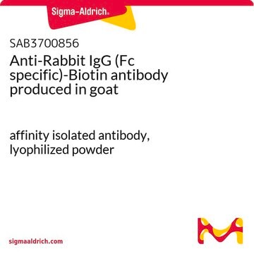 Anti-Rabbit IgG (Fc specific)-Biotin antibody produced in goat affinity isolated antibody, lyophilized powder