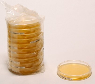 Malt Extract Agar Ready-to-use 90mm plate for detection of yeasts and moulds by Membrane filtration method.