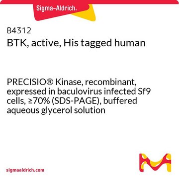 BTK, active, His tagged human PRECISIO&#174; Kinase, recombinant, expressed in baculovirus infected Sf9 cells, &#8805;70% (SDS-PAGE), buffered aqueous glycerol solution