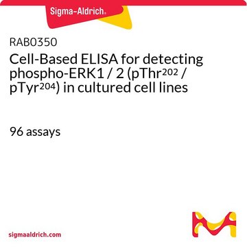 Cell-Based ELISA for detecting phospho-ERK1 / 2 (pThr202 / pTyr204) in cultured cell lines 96&#160;assays