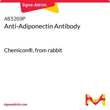 Anti-Adiponectin Antibody Chemicon&#174;, from rabbit