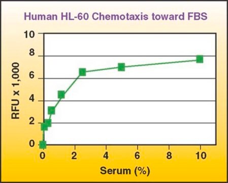 QCM Chemotaxis-Zellmigrationsassay, 96-Well (3&nbsp;&#181;m), fluorimetrisch The Chemicon QCM 3 uM 96-well Migration Assay provides a quick &amp; efficient system for quantitative determination of various factors on cell migration, including screening of pharmacological agents or evaluation of integrins.